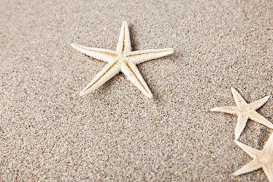 即时战略游戏《Ratten Reich》8月9日发售 支持繁体中文